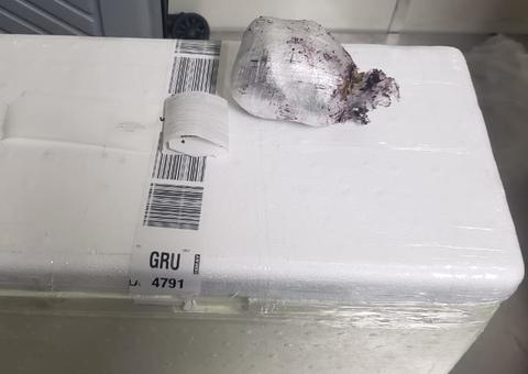 Homem é preso com droga escondida em embalagem de açaí no Aeroporto de Manaus  