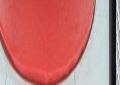 Motel causa na web ao lançar suíte inspirada em MMA