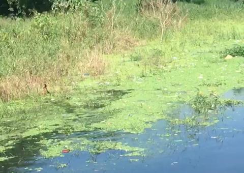 Vídeo: Mulher entra em igarapé e resgata cadáver em putrefação em Manaus