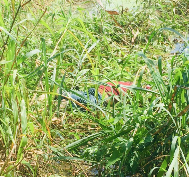 Corpo de homem é encontrado boiando em igarapé de Manaus