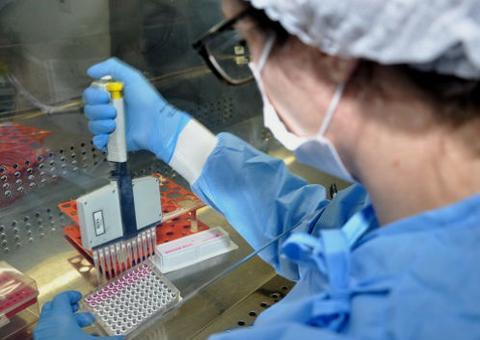 Equipe da Fiocruz trabalha em vacina brasileira para covid-19