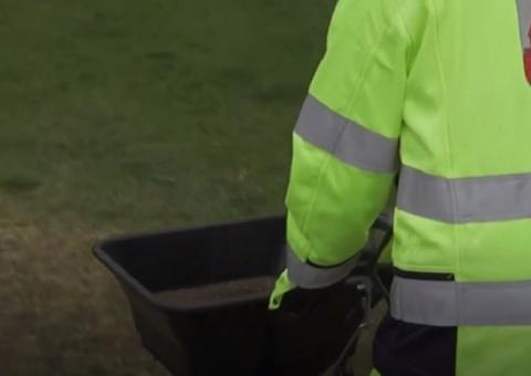 Cidade da Suécia usa fezes de galinha para combater coronavírus