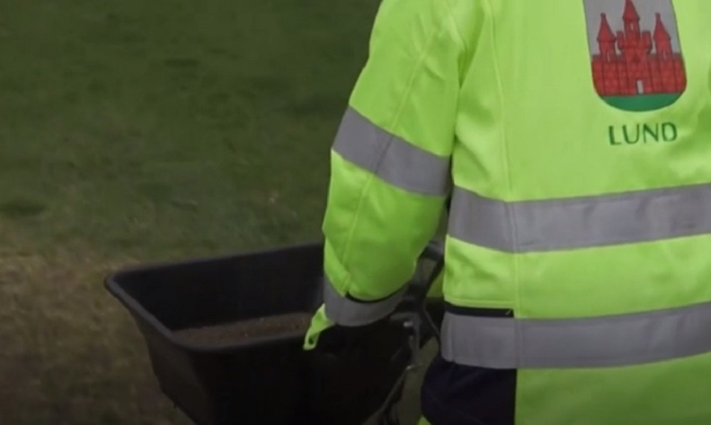 Cidade da Suécia usa fezes de galinha para combater coronavírus