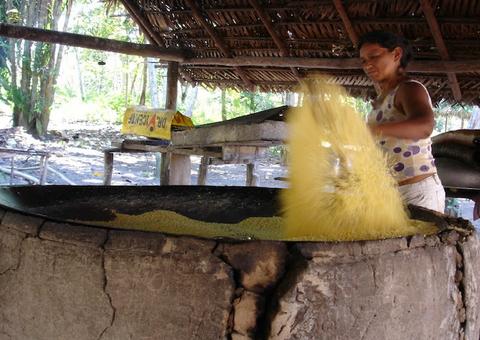 Pandemia: Segurança alimentar e benefícios devem chegar a indígenas