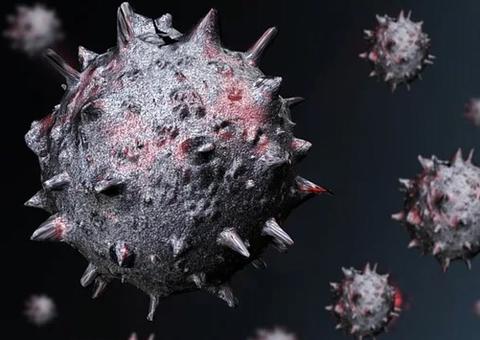 Brasil ainda não chegou ao pior da pandemia, diz OMS