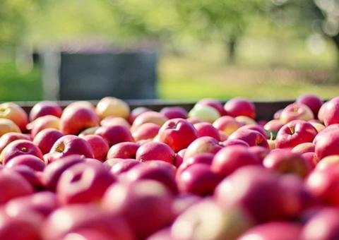 Veja alimentos que devem ser lavados, mesmo se for retirar a casca