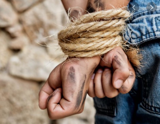 Em Manaus, casal e adolescente são amarrados e abandonados no meio da mata após crime