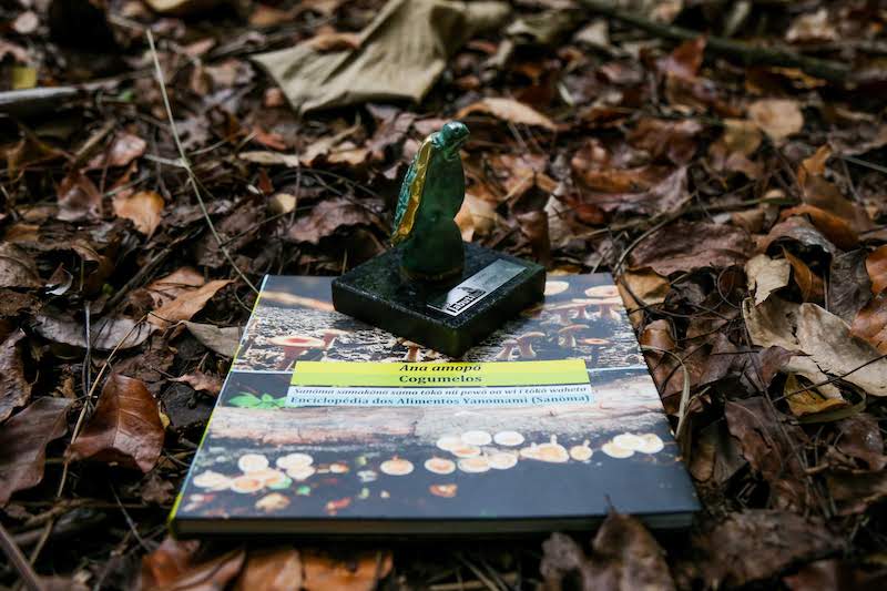 Escola municipal faz torneio de leitura para motivar estudantes em Manaus