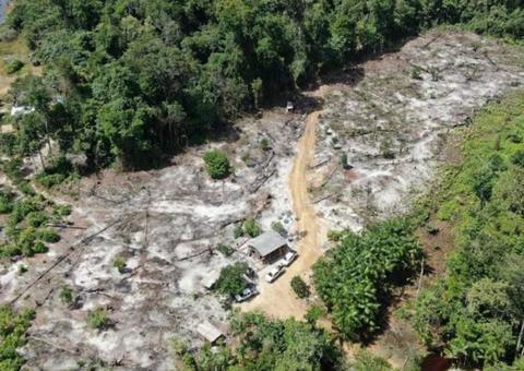 Estados da Amazônia combatem desmatamento com recursos recuperados na Lava Jato 