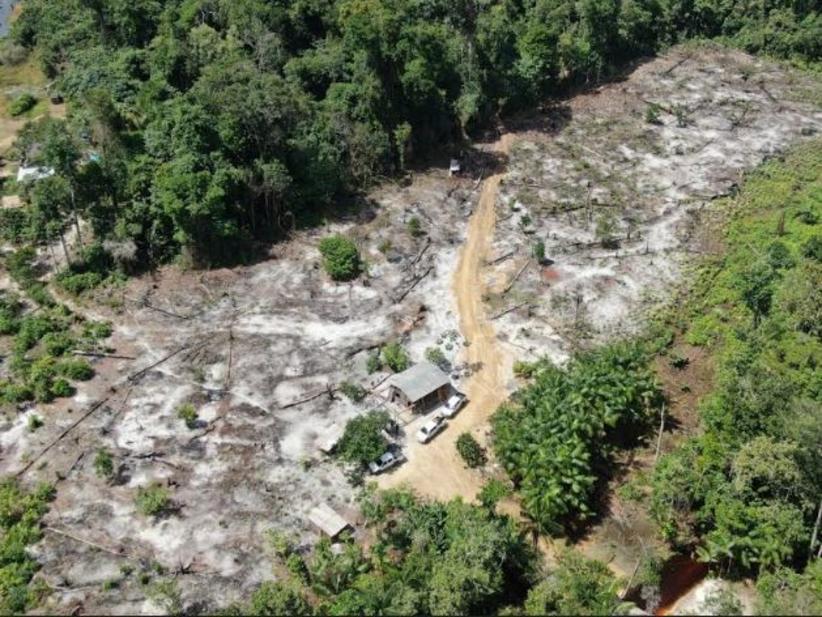 Estados da Amazônia combatem desmatamento com recursos recuperados na Lava Jato 