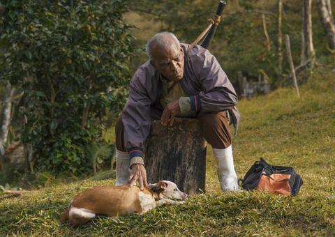 Filme brasileiro 'Casa de Antiguidades' é selecionado pelo Festival de Cannes
