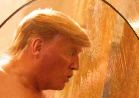Nude de Donald Trump? Saiba o que está por trás de ‘flagra’