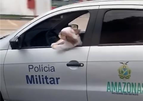 Militar flagrado usando viatura para passear com cachorro é exonerado do cargo