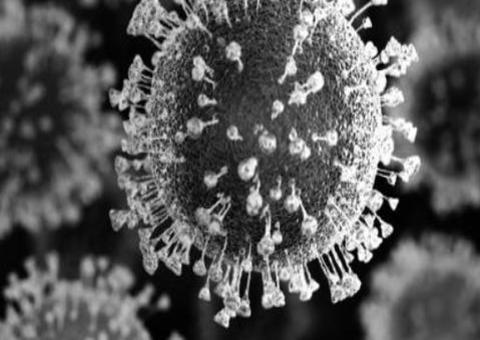 Brasil bate novo recorde de mortes por covid-19 após estados relaxarem medidas de isolamento