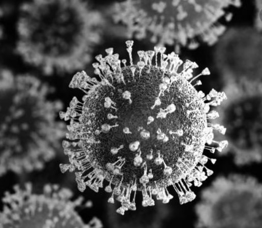 Brasil bate novo recorde de mortes por covid-19 após estados relaxarem medidas de isolamento