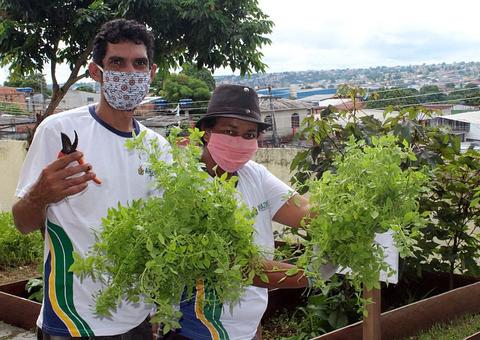 Centro de convivência instala horta e famílias fazem economia em Manaus