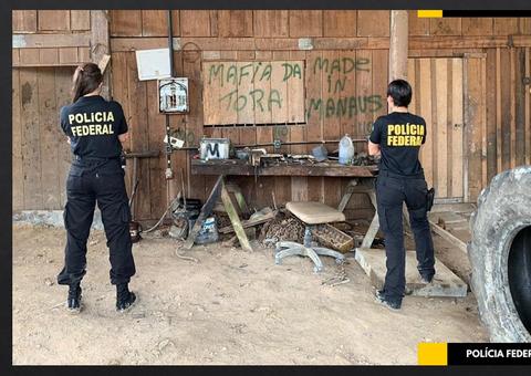 Homem é preso por exploração ilegal de madeira durante operação da PF no Amazonas 