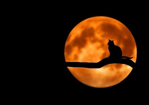 Eclipse: Lua de Morango poderá ser vista no Brasil