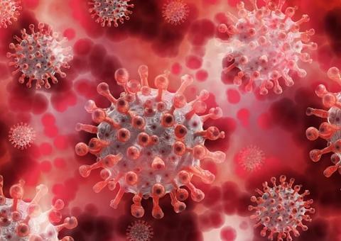 Coronavírus: Brasil registra 1.005 mortes em 24h e total chega a 35.026