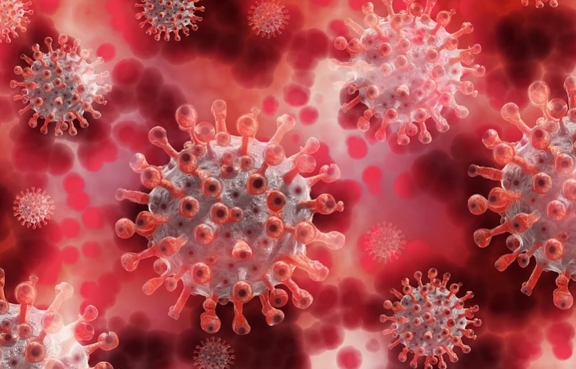 Coronavírus: Brasil registra 1.005 mortes em 24h e total chega a 35.026