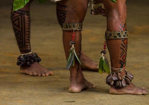 Covid-19 agrava violações contra indígenas yanomami, diz estudo