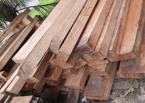 Suspeito de vender madeira ilegal é preso no Amazonas 