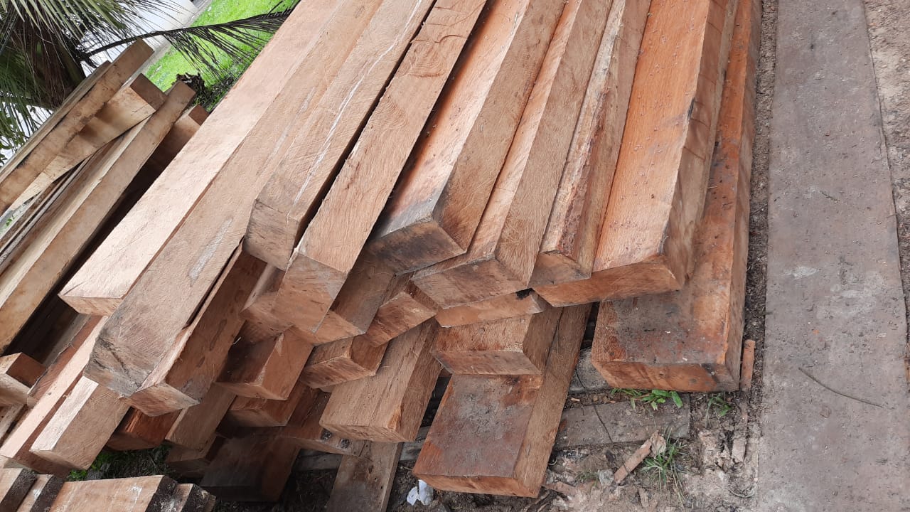 Suspeito de vender madeira ilegal é preso no Amazonas 