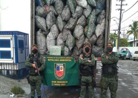 Motorista é detido transportando caminhão cheio de carvão vegetal ilegal em Manaus 
