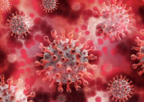 Plataforma de universidade volta a exibir dados de coronavírus no Brasil após suspensão temporária