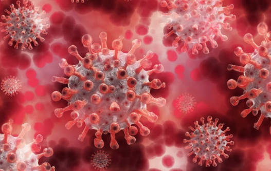 Transmissão de covid-19 a partir de assintomáticos é 'muito rara', diz OMS