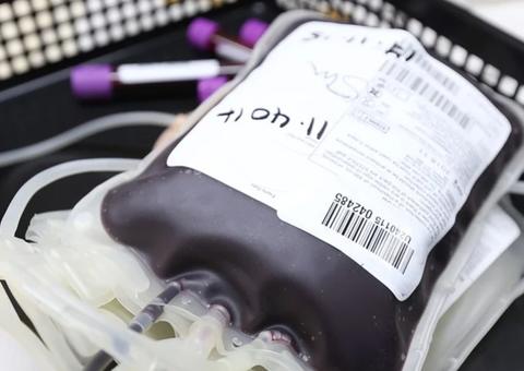 Associação quer que Anvisa permita imediatamente doação de sangue por homossexuais