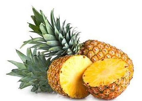 Município do Amazonas ganha selo de procedência no cultivo de abacaxi