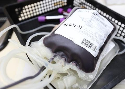 Coleta de plasma convalescente para tratamento da Covid-19 é realizado em Manaus