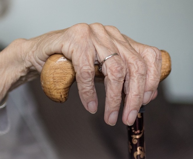 Live dos Solteiros arrecada doações para Lar do Idoso em Manaus
