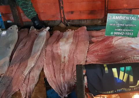 Ação policial apreende uma tonelada de pirarucu e madeira ilegal em porto de Manaus