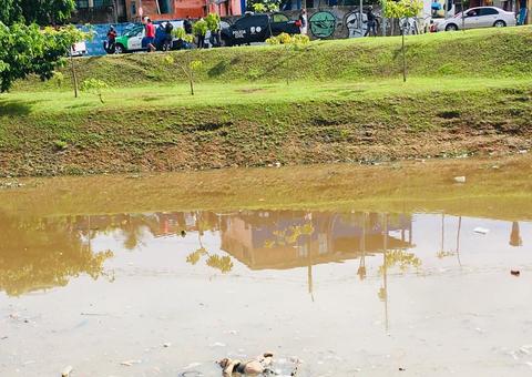 Populares se desesperam ao avistar corpo de homem boiando em igarapé de Manaus