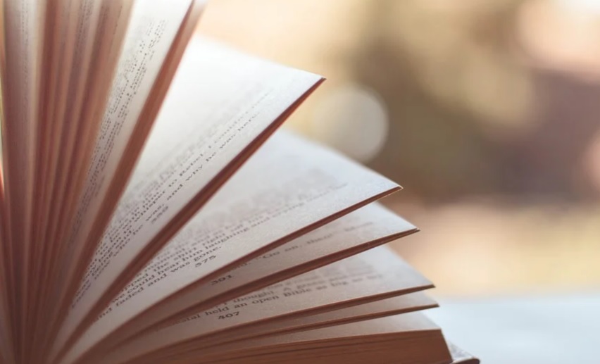 Livro acusado de pornografia infantil tem venda suspensa após repercussão