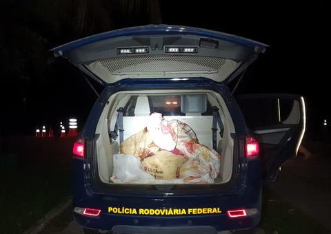 Grupo é preso com carne de animais silvestres e cabeça de anta na BR-174 