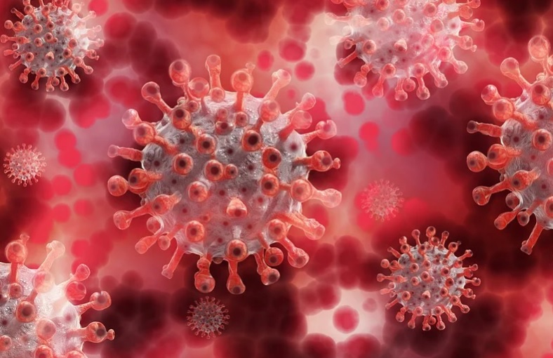 Brasil tem recorde diário e deve chegar a 1 milhão de casos de Covid-19