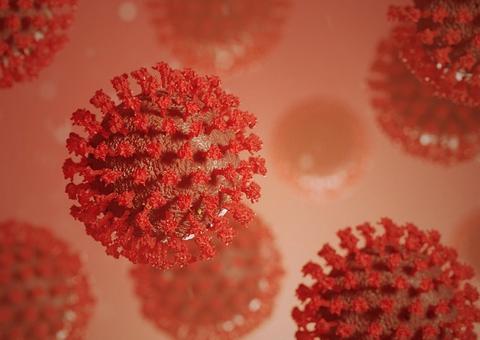 Bebê de 13 dias morre infectado com Covid-19 