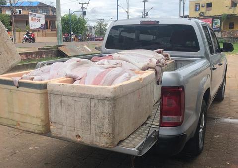 Homem é preso e cinco toneladas de pirarucu são apreendidas em embarcações no Amazonas