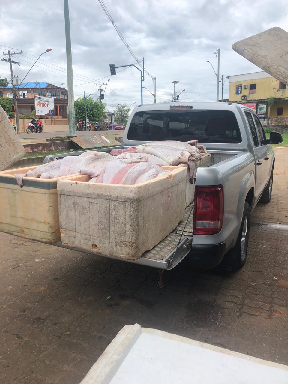 Homem é preso e cinco toneladas de pirarucu são apreendidas em embarcações no Amazonas