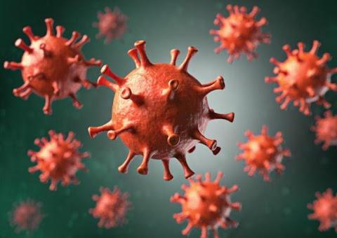 Brasil alcança quase 50 mil mortos por Covid-19