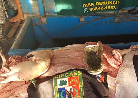 Embarcações são apreendidas com pescado e combustível ilegal na orla de Manaus