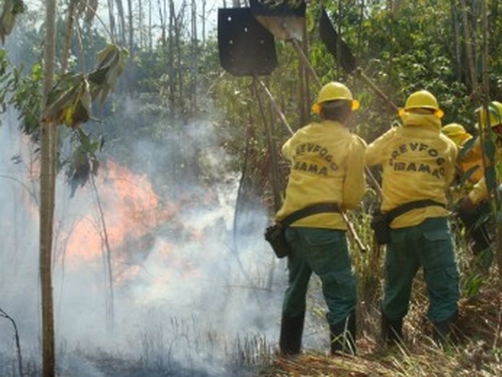 Ibama oferta 844 vagas temporárias em processo seletivo 