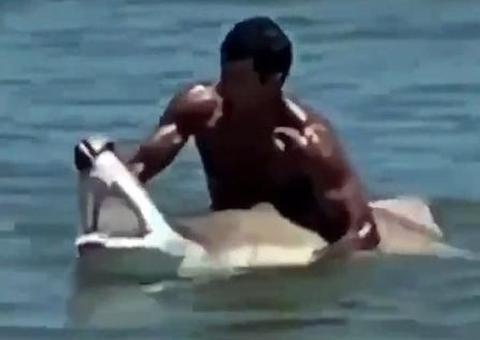 Homem domina tubarão com as próprias mãos em praia; Veja vídeo