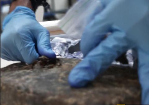 PF apreende mala com 10kg  de maconha em aeroporto de Manaus