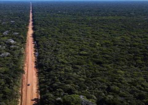 Governo Federal publica edital para pavimentação da BR-319, no Amazonas