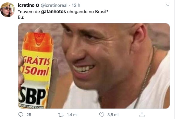 Chegada de nuvens de gafanhotos no Brasil causa alvoroço; veja reações