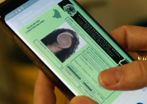 Câmara aprova que CNH de motorista profissional tenha validade de 10 anos